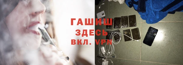 стаф Новокубанск