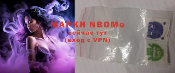 стаф Новокубанск