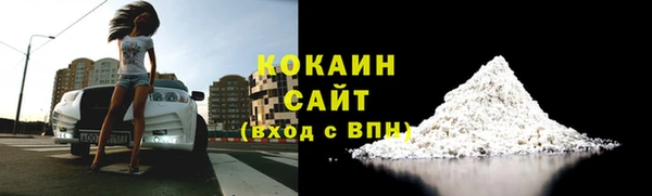 скорость Новозыбков