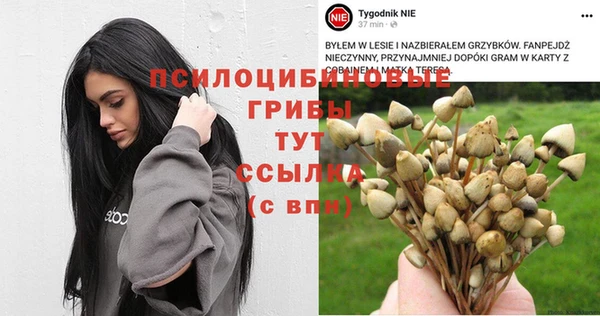 амфетамин Аркадак