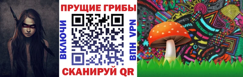 Псилоцибиновые грибы GOLDEN TEACHER  Цивильск 